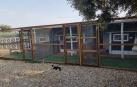 Un hotel exclusivamente para gatos con suites 'de lujo'