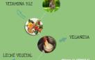 Diccionario vegetariano.