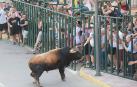 Muere un joven corneado por un toro en el encierro de un pueblo de Ciudad Real