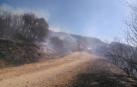 Bomberos forestales de los parques de Cordovilla, Tafalla y Estella y las dos Brigadas de Refuerzo en Incendios Forestales  han acudido a la zona donde se ha extendido el fuego. 