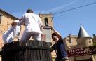 Imágenes de la Fiesta de la Vendimia de Navarra, celebrada en Olite este domingo, 2 de septiembre, y organizada por la Cofradía del Vino de Navarra.
