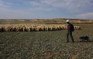 Ocho días a pie de la Ribera al valle de Roncal en el camino inverso de la trashumancia