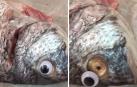Peces con ojos de plástico en una pescadería de Kuwait.
