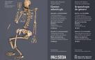 El Museo de Navarra dedica un ciclo a la Arqueología de Género