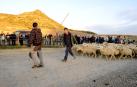 Carcastillo prepara la entrada de los primeros rebaños a Bardenas