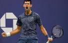 Djokovic vence a un buen Del Potro en la primera final bajo techo del Open USA