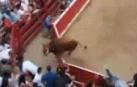 Un toro salta la valla y escapa de la plaza de Villafranca