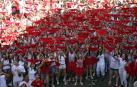 Corella pone en marcha este domingo 8 días de fiestas