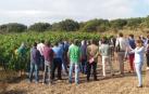 INTIA participa en un proyecto para que el vino navarro sea un referente en sostenibilidad