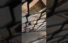Herido un joven al ser apuñalado con un machete en una pelea en el Raval