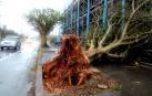 El tifón Trami obliga a cancelar más de 1.000 vuelos a su paso por Japón