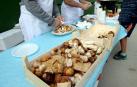 Imágenes de la celebración del Día de la Cofradía del hongo en Elgorriaga, este domingo, 30 de septiembre