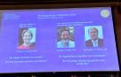 El Nobel de Química 2018 recae en Frances Arnold, George Smith y Gregory Winter