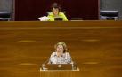 El Parlamento reforma la ley para favorecer el Plan de Inversiones Locales