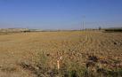 Empiezan las obras de concentración y puesta en riego en Peralta