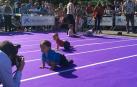 Celebración del Día Europeo del Autismo en la plaza del Castillo de Pamplona. I Carrera de Gateo por el Autismo y V Carrera Solidaria de ANA
