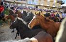 Fotos de la feria del caballo de Marcilla