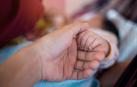 El tamaño de la familia y el riesgo de padecer cáncer están relacionados