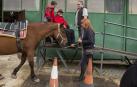 De la silla de ruedas al caballo