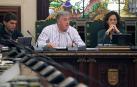 Rechazadas dos declaraciones contra la "politización" de las fiestas de San Fermín Txikito