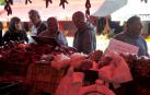 Entre septiembre y noviembre, la campa de la Fundación Mena de Puente la Reina se transforma en territorio rojo donde el pimiento, en sus en múltiples variedades, se erige en protagonista. Los productores locales no ocultan su satisfacción ante una campaña que, ya adelantan, se presenta “muy buena”