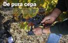 Además, más de la mitad de padres que denuncia a sus hijos en Navarra renuncia al proceso judicial.