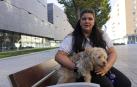 Drake, el perro que nació tres veces