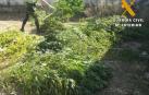 La Guardia Civil se incauta de 40 kilos de marihuana en Caparroso