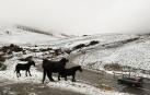 Semana con tiempo revuelto y precipitaciones