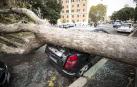 Al menos nueve personas han fallecido en el temporal que mantiene varias regiones italianas en Alerta por los fuertes vientos, las inundaciones y el derribo de árboles.