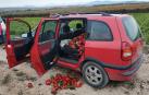 Investigadas dos riojanas por robar 400 kilos de pimiento en Viana