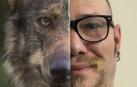 Iñigo Ábrego: “El lobo podría llegar a Navarra en unos cinco años”