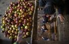 Arizkun revive la elaboración de la sidra a la vieja usanza con el método Kirikoketa, triturando la manzana a ritmo de mazas sincronizadas. Se machacaron un total de 1.500 kilos de manzanas en el lagar Gamioxarrea del siglo XVIII ahora restaurado