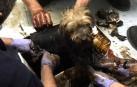 Los bomberos rescatan a un perro que se había caído a un charco de alquitrán