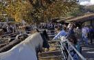 Cientos de puestos de venta, una exposición de maquinaria agrícola y la elegancia de una ganadería.