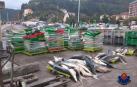 Investigan la pesca ilegal de tiburones protegidos en Ondarroa