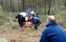 Desatrapado un conductor tras salirse de una pista forestal en Lesaka
