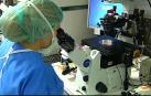 Un científico chino afirma haber creado los primeros bebés modificados genéticamente