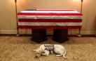 Sully, el "mejor amigo" canino que acompañó a George H.W. Bush hasta el final