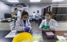 Científicos chinos aseguran haber creado bebés manipulados genéticamente