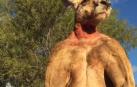 Muere Roger, el canguro más fuerte de Australia