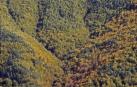 El cambio climático aumenta en 1,2° la temperatura de los Pirineos