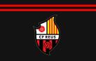 El Reus continuará compitiendo en Segunda