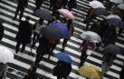 La lluvia ha caído como maná del cielo para los fabricantes españoles de paraguas