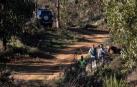 Efectivos de la Guardia Civil inspeccionan el paraje La Mimbrera en el término municipal de El Campillo (Huelva) donde se ha encontrado un cadáver