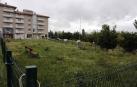 Los pipican de Pamplona: sin luz, cerramientos o con remates lesivos
