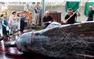 Japón se retira de la comisión que busca la preservación de las ballenas