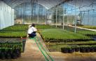 Un proyecto de bioeconomía circular generará hasta 15 empleos directos en Lumbier