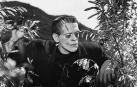 Los lectores ven a Frankenstein en pintura