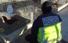 Detenidas 182 personas en un campeonato ilegal de peleas de gallos en Murcia